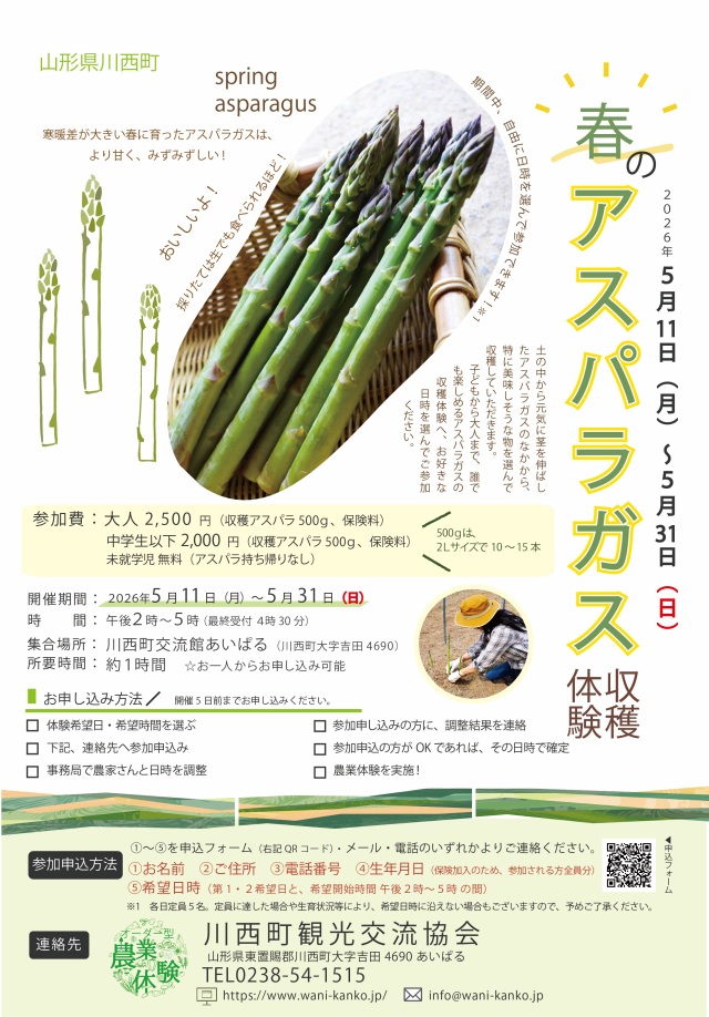 春のアスパラガス収穫体験（川西町）