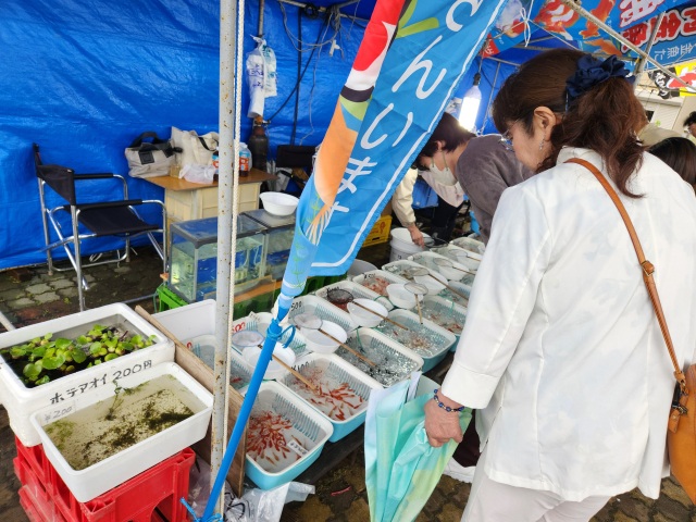 しょうない金魚まつり