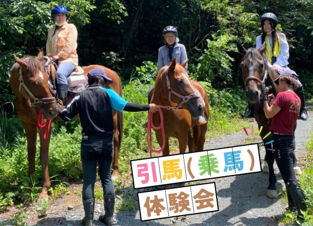午年記念！引馬（乗馬）体験イベント