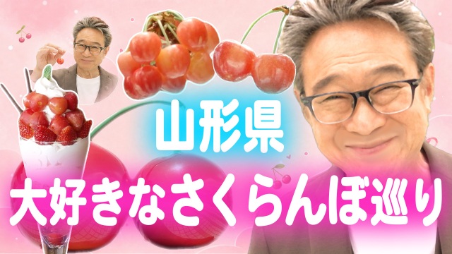 【船越福知事、山形でさくらんぼを食す。#02 さくらんぼ編】公開!