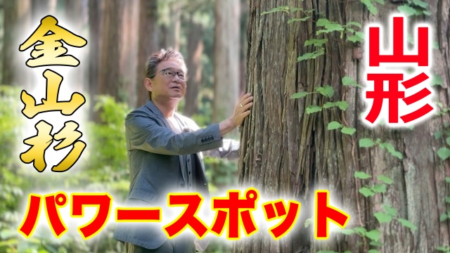 【パワースポット！？】/ 船越英一郎福知事　大杉に会いに行く　#04 金山杉編