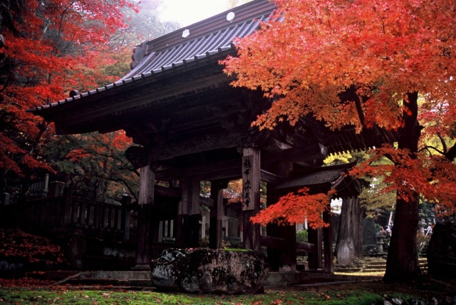 鶴布山 珍蔵寺（曹洞宗 ）/ 置賜三十三観音 第18番 新山観音