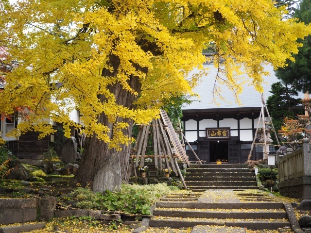 鶴布山 珍蔵寺（曹洞宗 ）/ 置賜三十三観音 第18番 新山観音