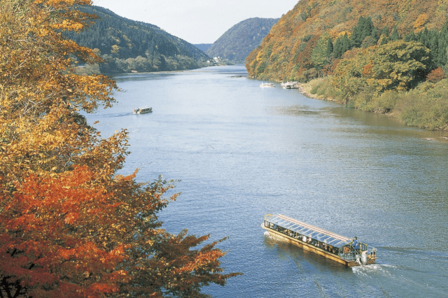 錦に染まる山々を優雅に眺める最上峡