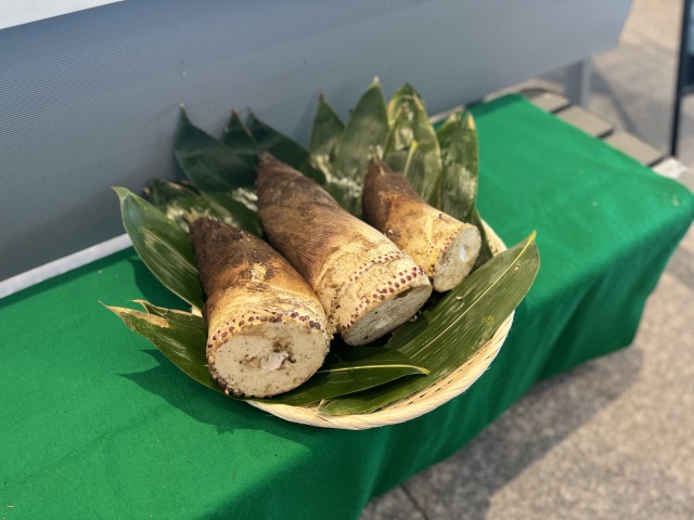 令和7年度の様子②