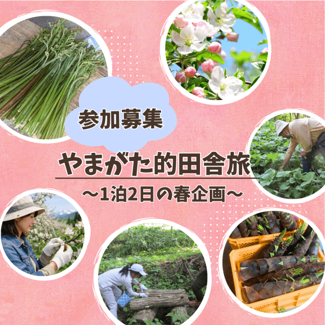 「やまがた的田舎旅2026」参加者募集中！　