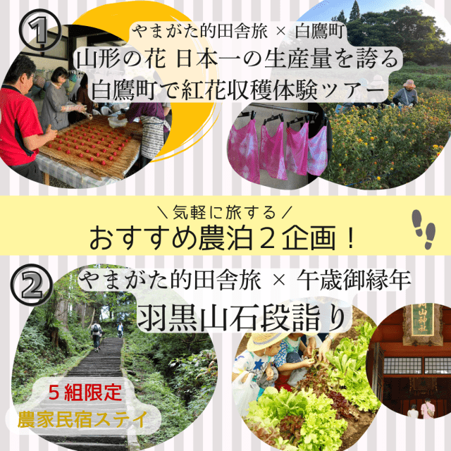 「やまがた的田舎旅2026」夏企画　参加者募集中！
